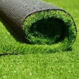 grass