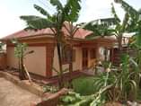 A picture of Kawanda bombo road quick sale house