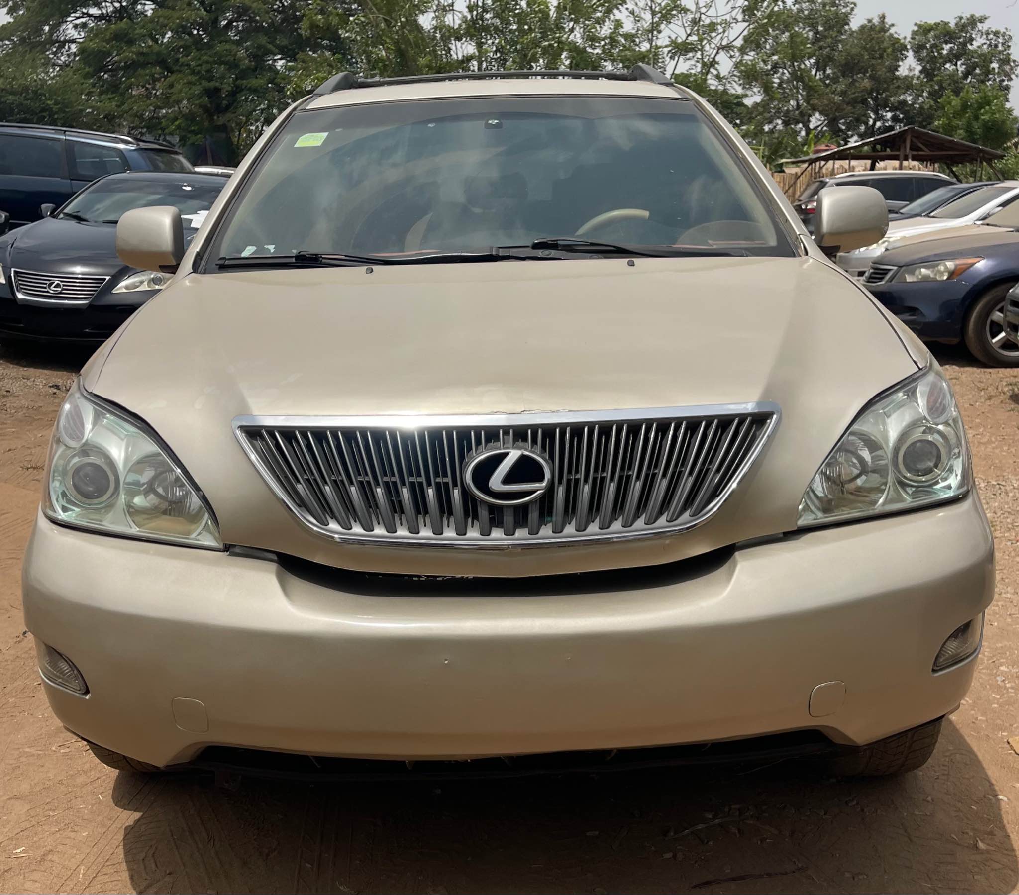 A picture of LEXUS RX330 2005