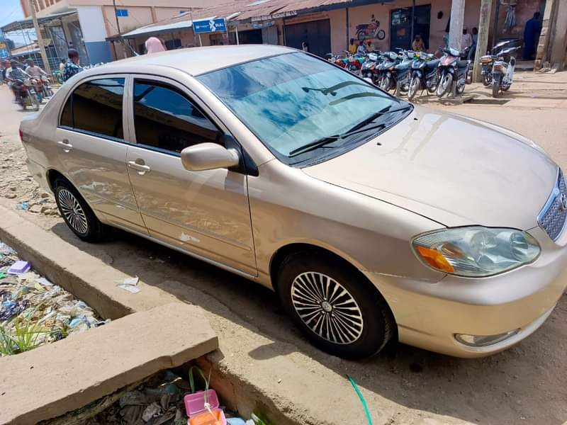 A picture of Direct bugumi standard First body Original duty Perfectly Location Bauchi
