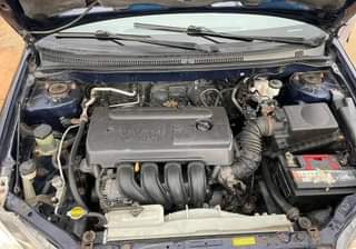 A picture of Direct tokubo first body