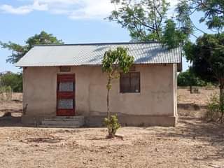 A picture of CALL 0687283704 MWANZA NYASHISHI