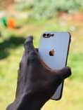 A picture of Iphone 7plus
