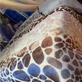 A picture of WOOLLEN DUVETS