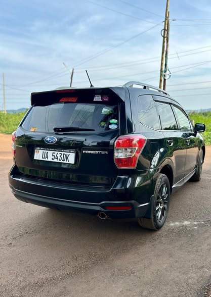 A picture of Subaru Forester
