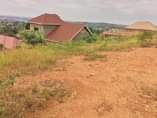 A picture of Ready plots on sell