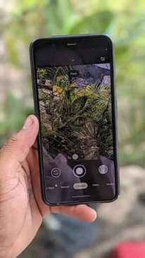 A picture of Pixel 4xl
