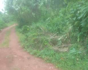 A picture of Land for sale