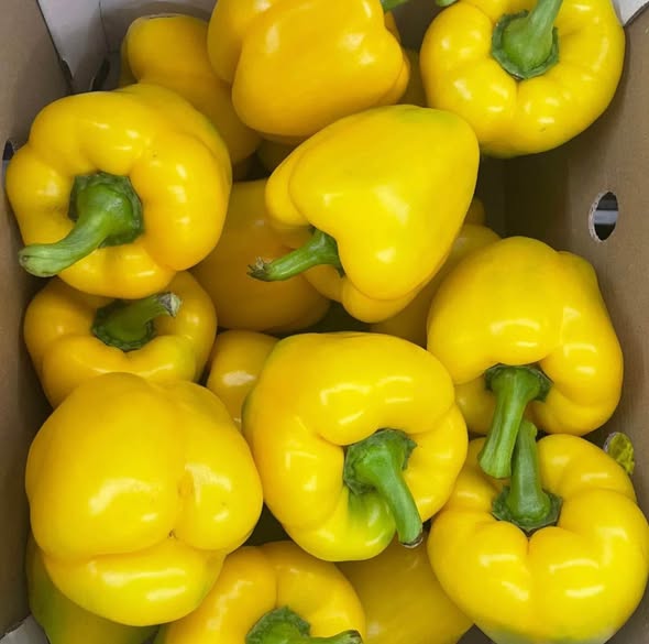 A picture of Fruits vegitables