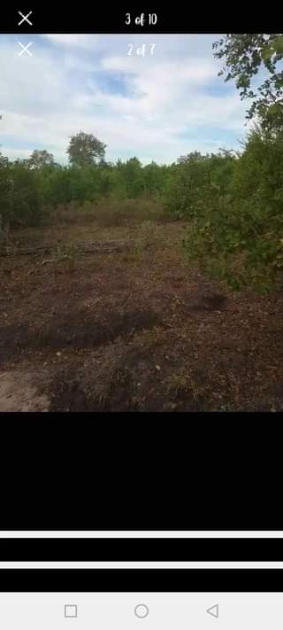 A picture of SHAMBA HEKA 20 LINAUZWA MZENGA WILAYA YA KISARAWE MKOA WA