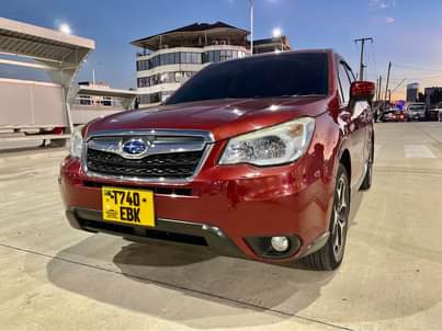 subaru forester