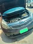 A picture of AWOOF DEAL OO