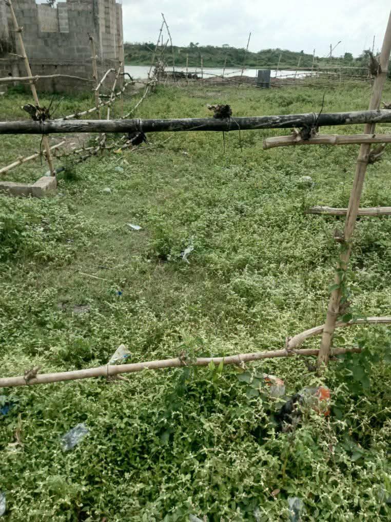 A picture of Quarter plot of land