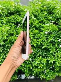 A picture of IPHONE 7 PLUS GB 128
