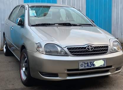 used toyota corolla