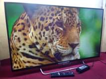 A picture of UK used Sony 50 inches Smart TV with Remote and