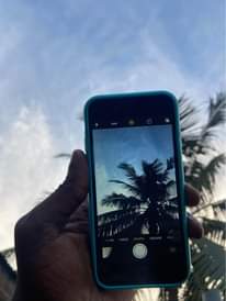 A picture of iPhone 7plain