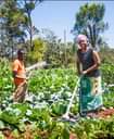 A picture of Money Maker irrigation pump