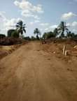 A picture of Viwanja