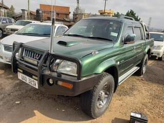A picture of Minitishibish L200
