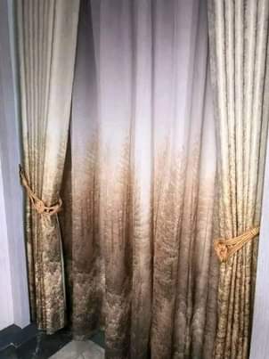 A picture of Curtains and rods