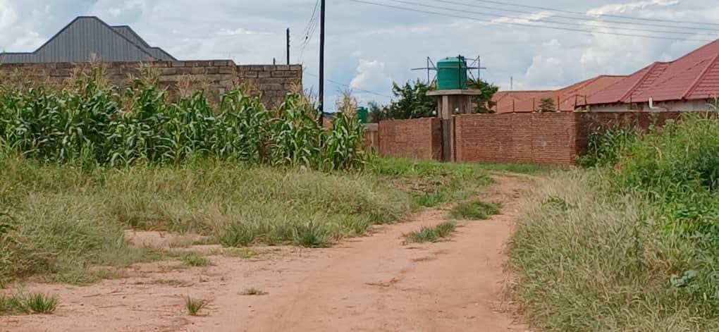 land