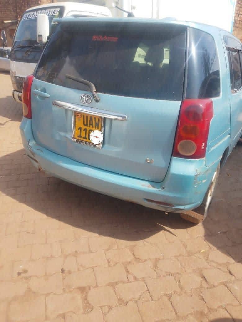 A picture of Vitz