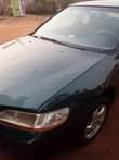 A picture of A Very Sound Hound Babyboy For Saleowner Need Money Buy