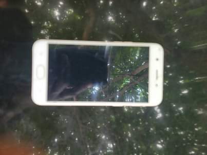oppo a57