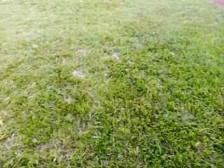 A picture of PLOT WITH HOUSE FOR SALE