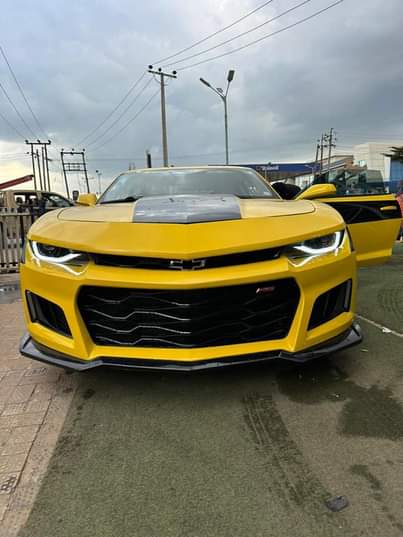 A picture of CAMARO