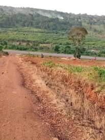 A picture of Commercial and Residential plots for sale