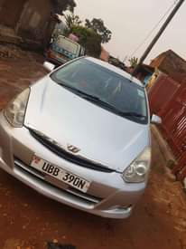 A picture of well mantained wish on sell
