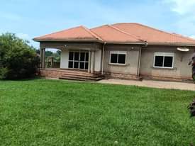 A picture of Plots land Rentals and houses for sale