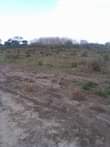 A picture of Shamba linauzwa kibaha mlandizi KILOMETER 2 toka morogoro road Zipo