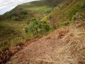 A picture of Shamba linalofaa kwa kilimo cha parachichi au miti ya mbao