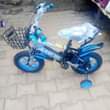 A picture of Kidz bikes from 250k