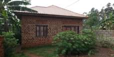 A picture of  14M KAWEMPE KAWANDA House on quick sale Has 2bedroom