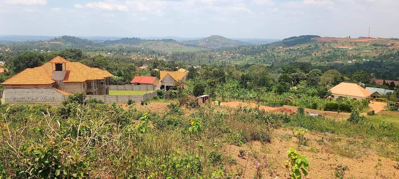 A picture of 0709106274..Hot cake plots on sale 50X100 FEET WITH READY TITLES