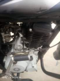A picture of Boxer