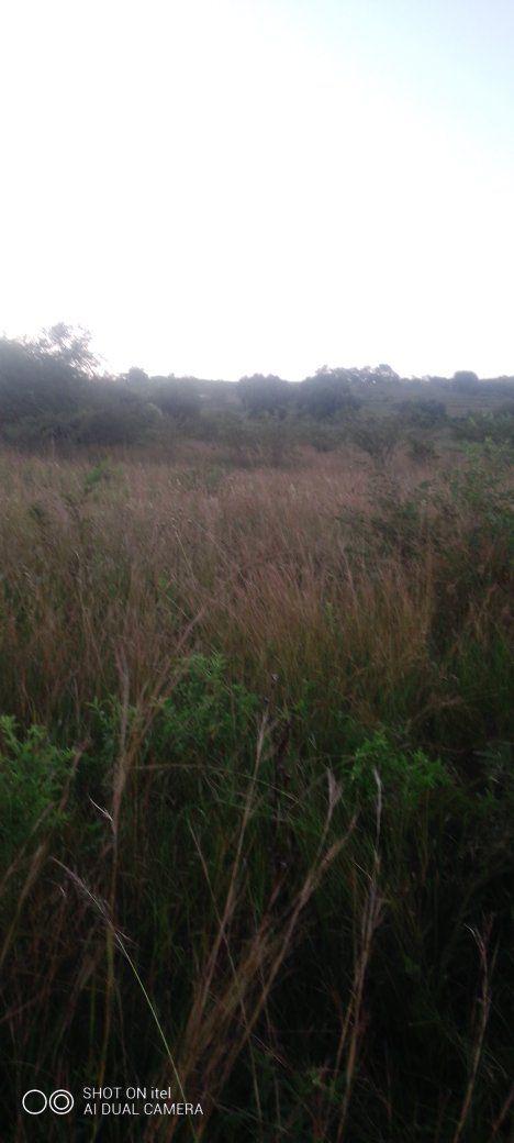 A picture of Land for sale