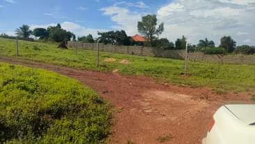 A picture of Plots For Sale At 60 Million Ugx Slightly Negotiable 50