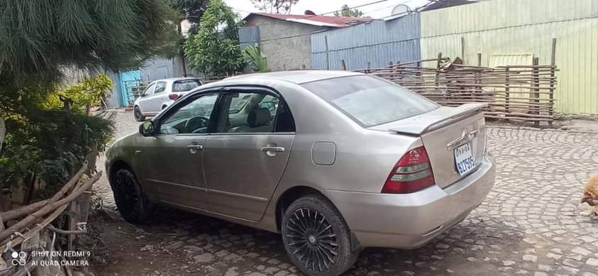 used toyota corolla