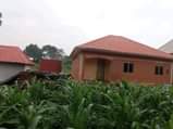 A picture of Buwambo kasangati house on quick sale