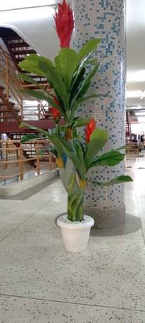 A picture of Artificial plants and flowers