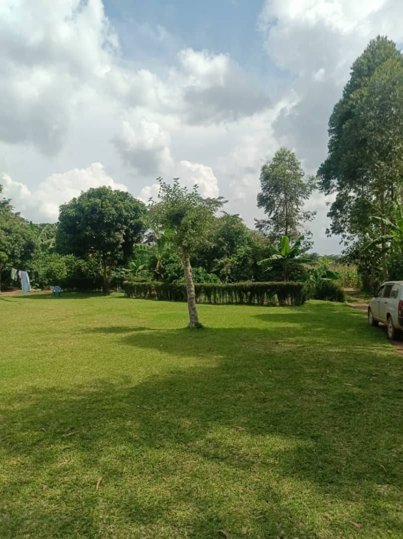 A picture of 5 acres of farm land