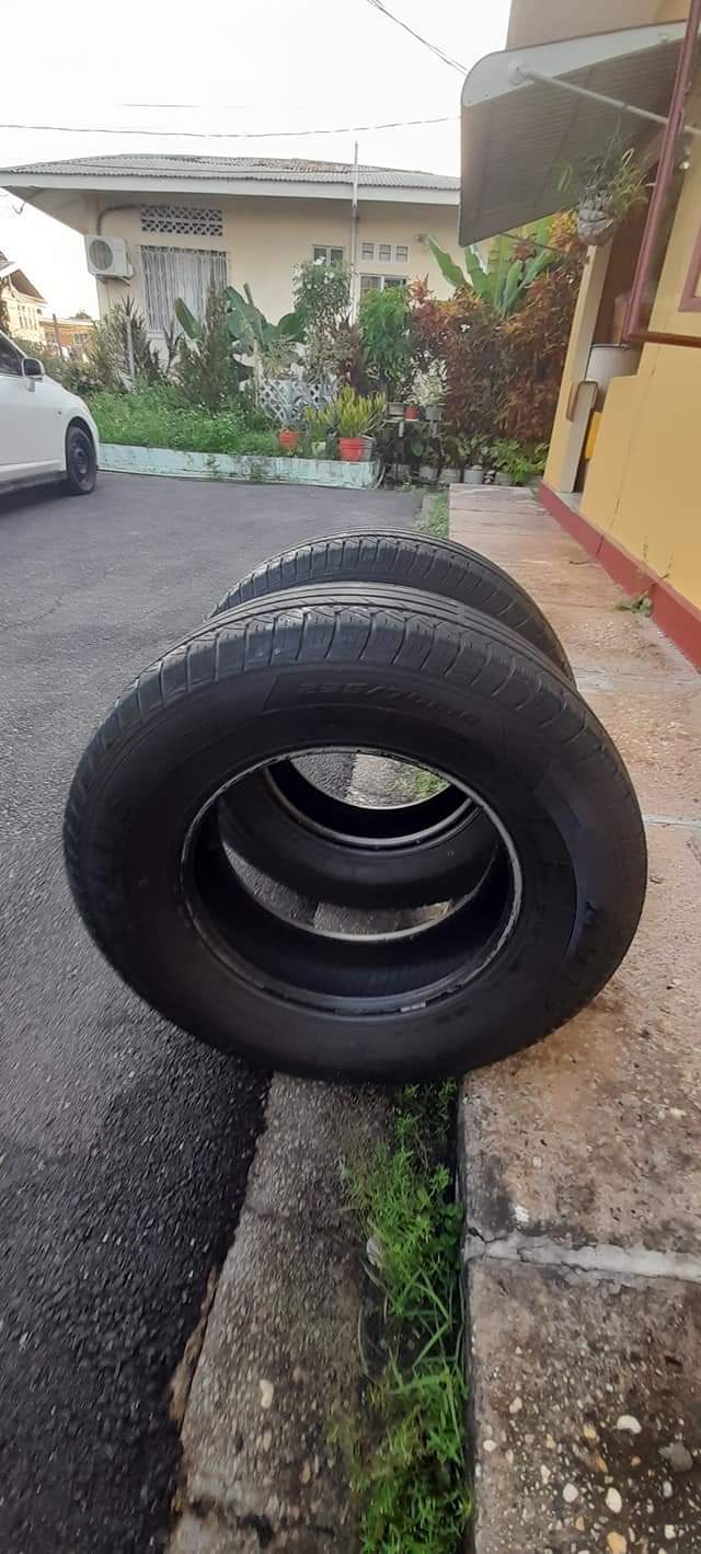 Trinicarsforsale