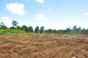 A picture of Plots for sale Namayumba Kyampisi Estate Wakiso District 