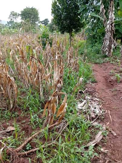 A picture of ANTI MR PROPERTY MANAGEMENT PLOT ON QUICK SALE LOCATED AT