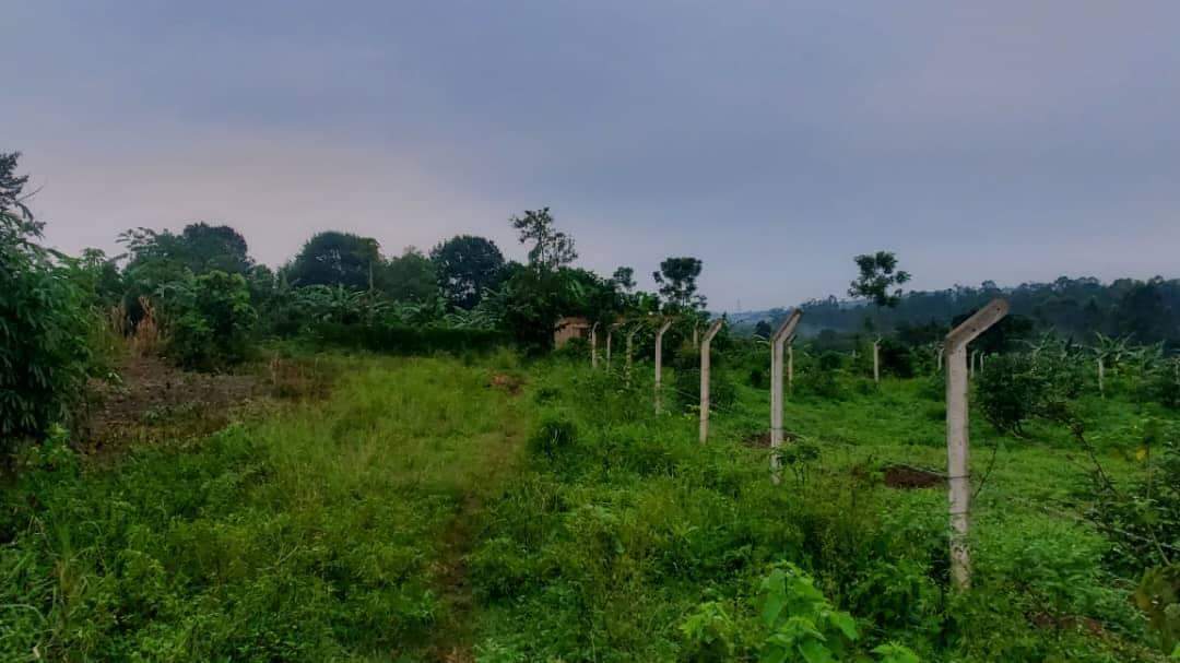 A picture of Land